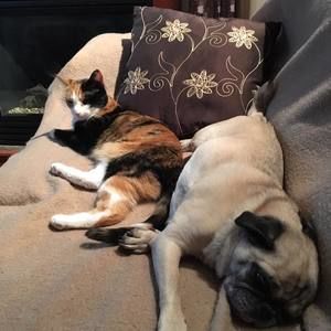 Meet your Posher, Cathy